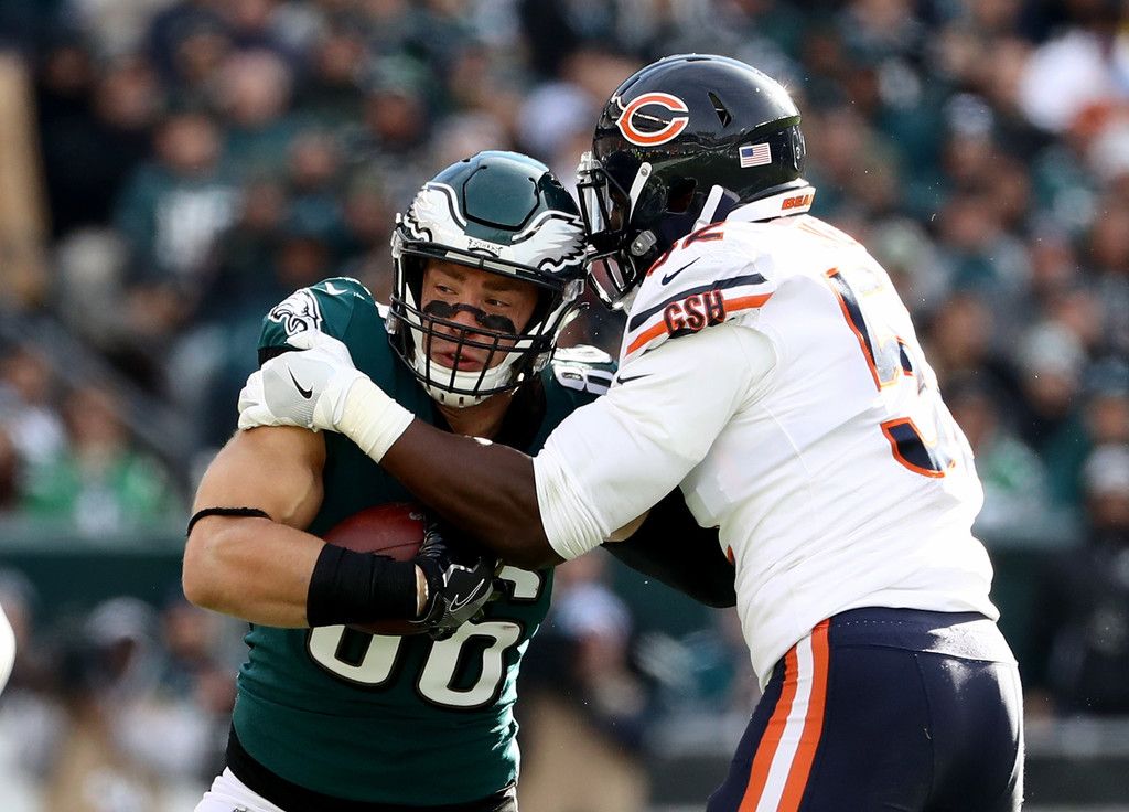bears eagles